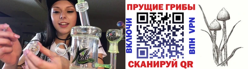 Галлюциногенные грибы Magic Shrooms  Купить где  Отрадное 